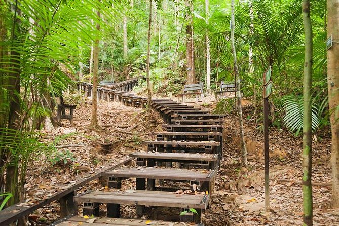 Taman Negara Day Tour with Canopy Walk - Why Taman Negara makes a worthwhile day trip