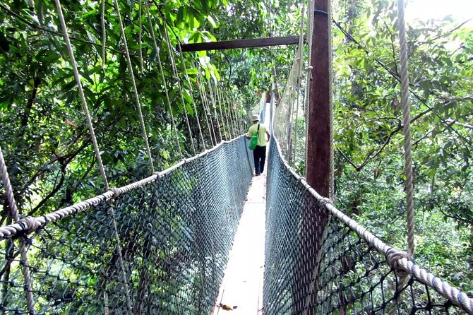 Taman Negara Day Tour with Canopy Walk - Arriving at Kuala Tahan and entering the park