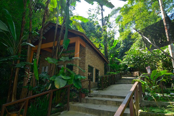 Taman Negara Day Trip from Kuala Lumpur with Lunch - Key points to know before you book