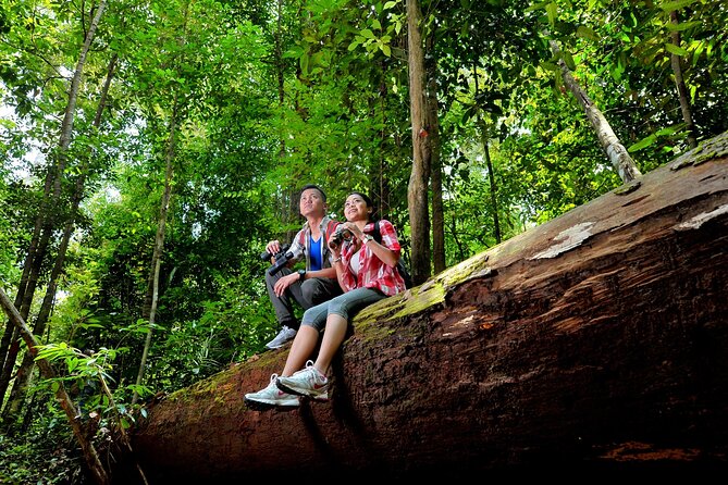 Taman Negara Day Trip from Kuala Lumpur with Lunch - What you may see in this ancient rainforest