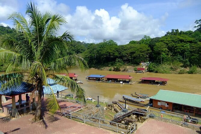 Taman Negara National Park Day Excursion from Kuala Lumpur PVT - Why Taman Negara makes a worthwhile day trip