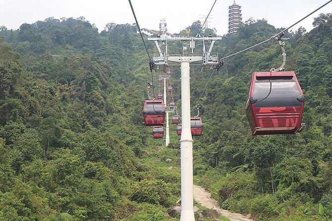 Taman Negara National Park Day Excursion from Kuala Lumpur PVT - The strongest part: guides who explain the setting
