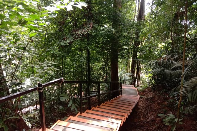 Taman Negara National Park Day Tour (SIC - Join In Tour) - Why this is such a long day from Kuala Lumpur
