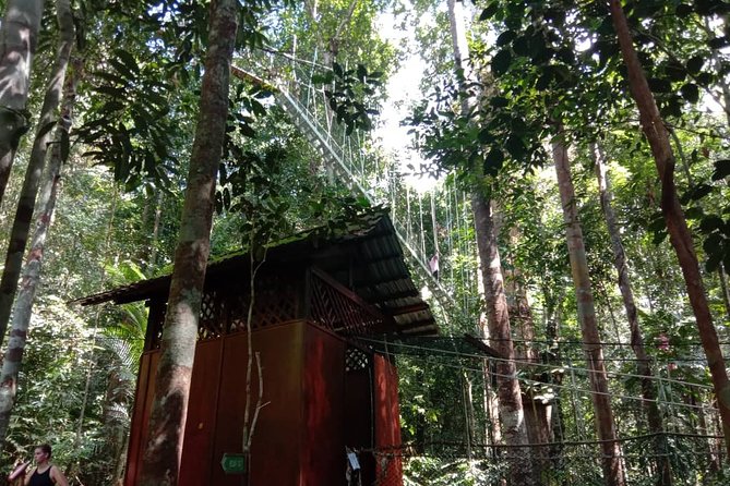Taman Negara National Park Day Tour (SIC - Join In Tour) - The three-hour climb to Teresek Hill