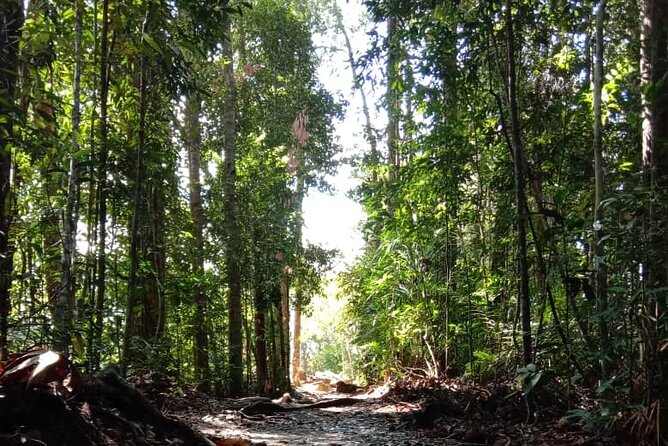 Taman Negara National Park Day Tour (SIC - Join In Tour) - Arriving at Taman Negara and preparing for the forest