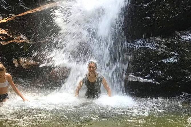 Templer Park and Kanching Waterfall Tour with Batu Caves Stopover - Kanching Falls and the chance to swim