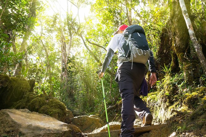 Templer Park and Kanching Waterfall Tour with Batu Caves Stopover - What the private vehicle adds to the price