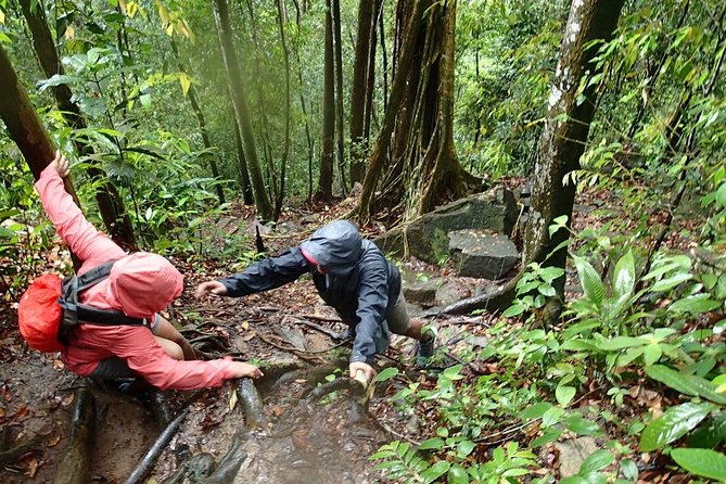 Templer Park and Kanching Waterfall Tour with Batu Caves Stopover - Who will enjoy this tour most