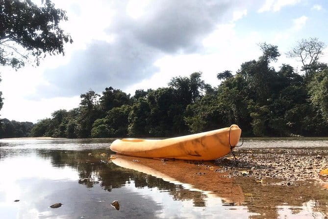 Terengganu Wildlife Kayak Tour - Starting at 9:15 am in Ajil