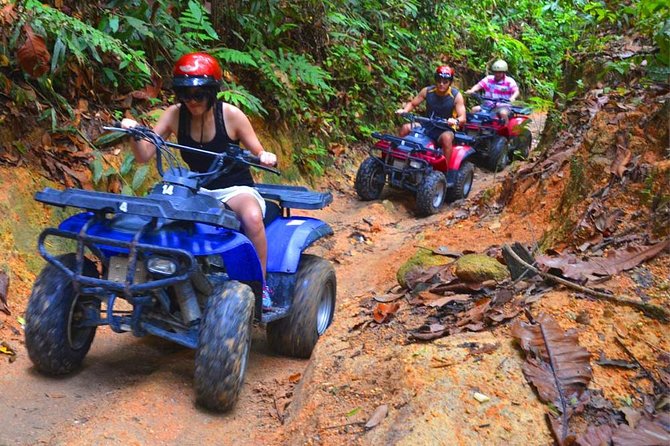 Thrilling ATV Rainforest Off-Road Experience Through Jungle Trail - Small groups and the quality of the guiding