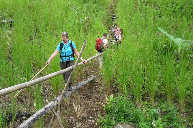 Traditional Bidayuh Village Bamboo Longhouse Tour - Entering the bamboo longhouse at Annah Rais