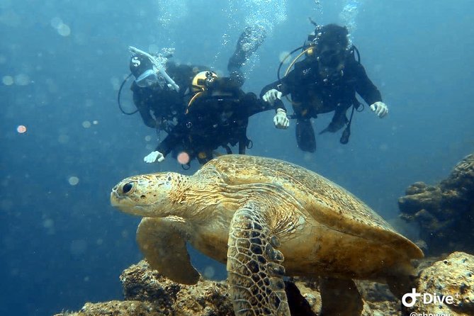 TRY SCUBA (non diver) - Key points at a glance