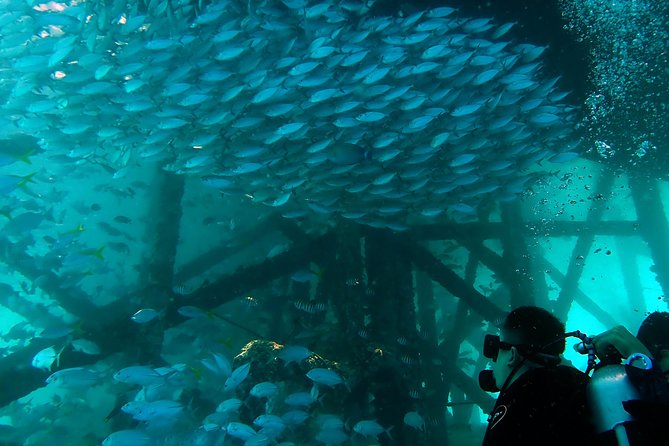 TRY SCUBA (non diver) - Timing, fitness, and flight planning