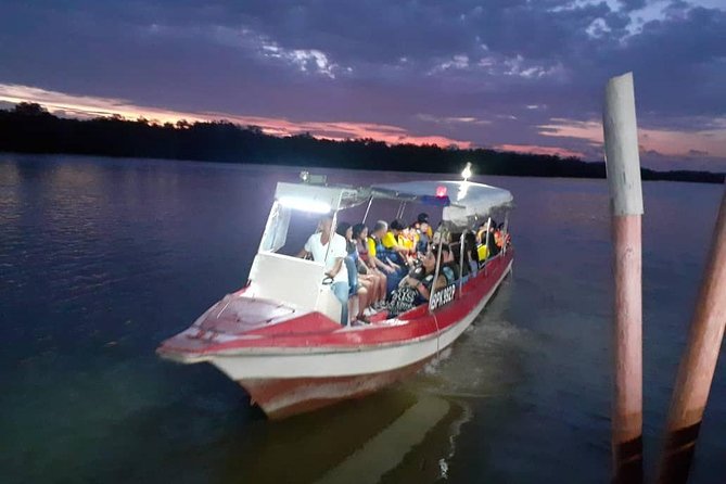 Twinkling Kuala Selangor Firefly Boat Tour from Kuala Lumpur - The road out through Sungai Buloh