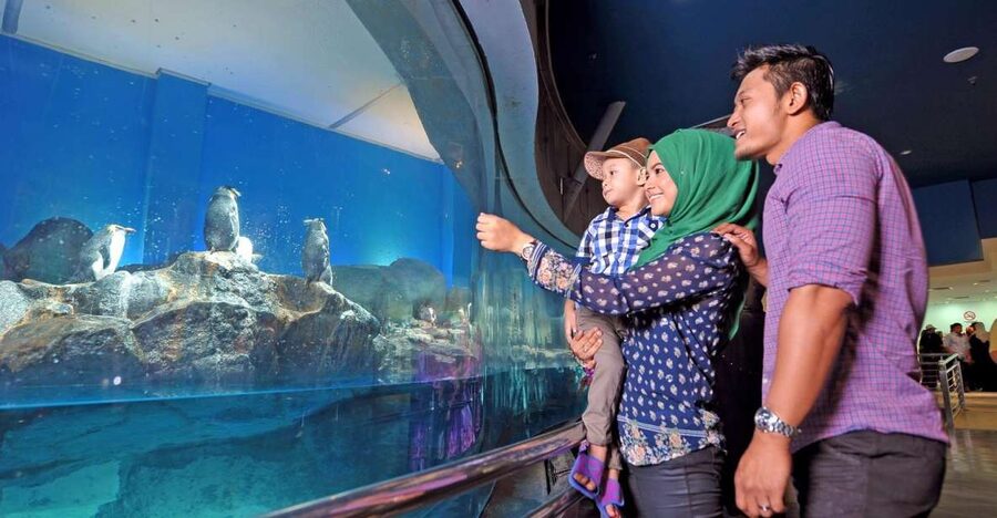 Underwater World Langkawi Admission Ticket - What the $15 admission really buys you