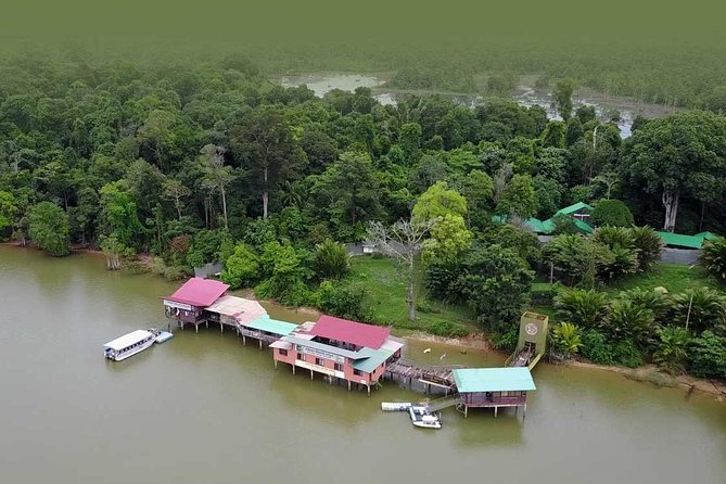 Wildlife & Wonders: Orang Utan Island + Perak Cave Temple Tour - Who will enjoy this day most?