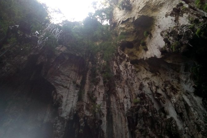 Wonders of Kuala Lumpur City & Countryside + Batu Caves (Private Guided Tour) - A quick look at the Petronas Twin Towers